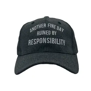Another Fine Day Ruined By Responsibility Hat Funny Graphic Cap Funny Hats Dad Joke  Funny Mother's Day  Novelty Caps for Men Standard