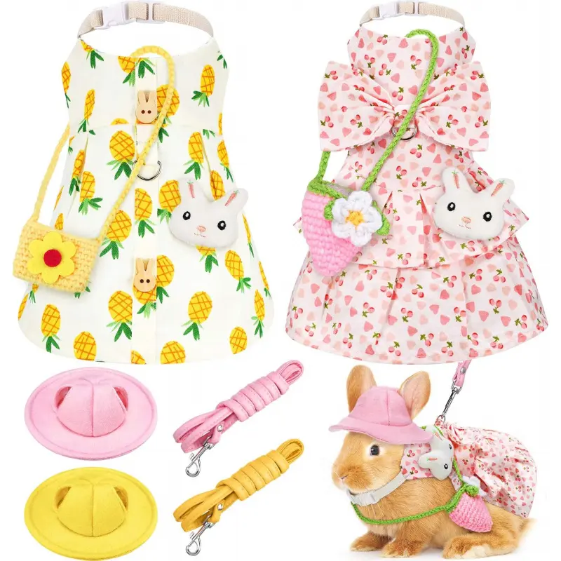 Small Pet Fashionable 2-Piece Outfits Set - Cherry, Pineapple Themed for Festivals, Easter | Small Animal Supplies: Leash, Hat, Mini Bag, Harness for Rabbits, Guinea Pigs