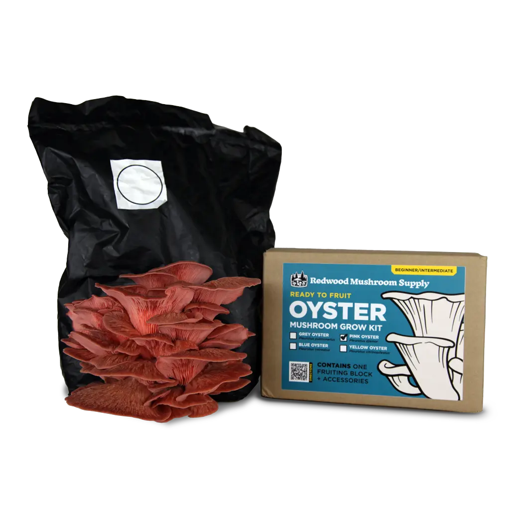 Pink Oyster Mushroom Grow Kit