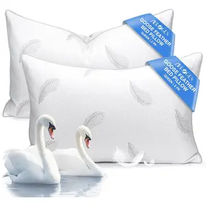 Goose Feather Pillows Bed Pillow - Hotel Down Pillows Queen Size Set of 2, Surround Fill for Back, Stomach, Side Sleepers