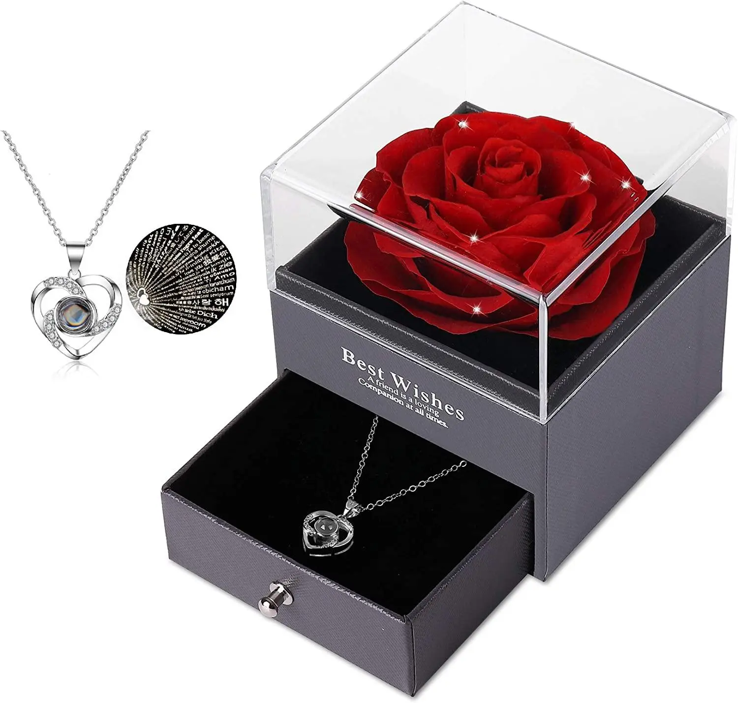Ocosy Preserved Real Rose Gift Set with Silver-Tone Heart Necklace I Love You in 100 Languages, Eternal Flower for Mothers Day & Valentine's Day, Red Crystal Enchanted Rose for Her