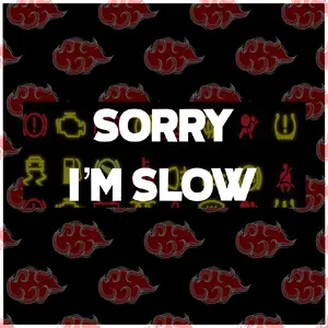 Sorry im slow car sticker