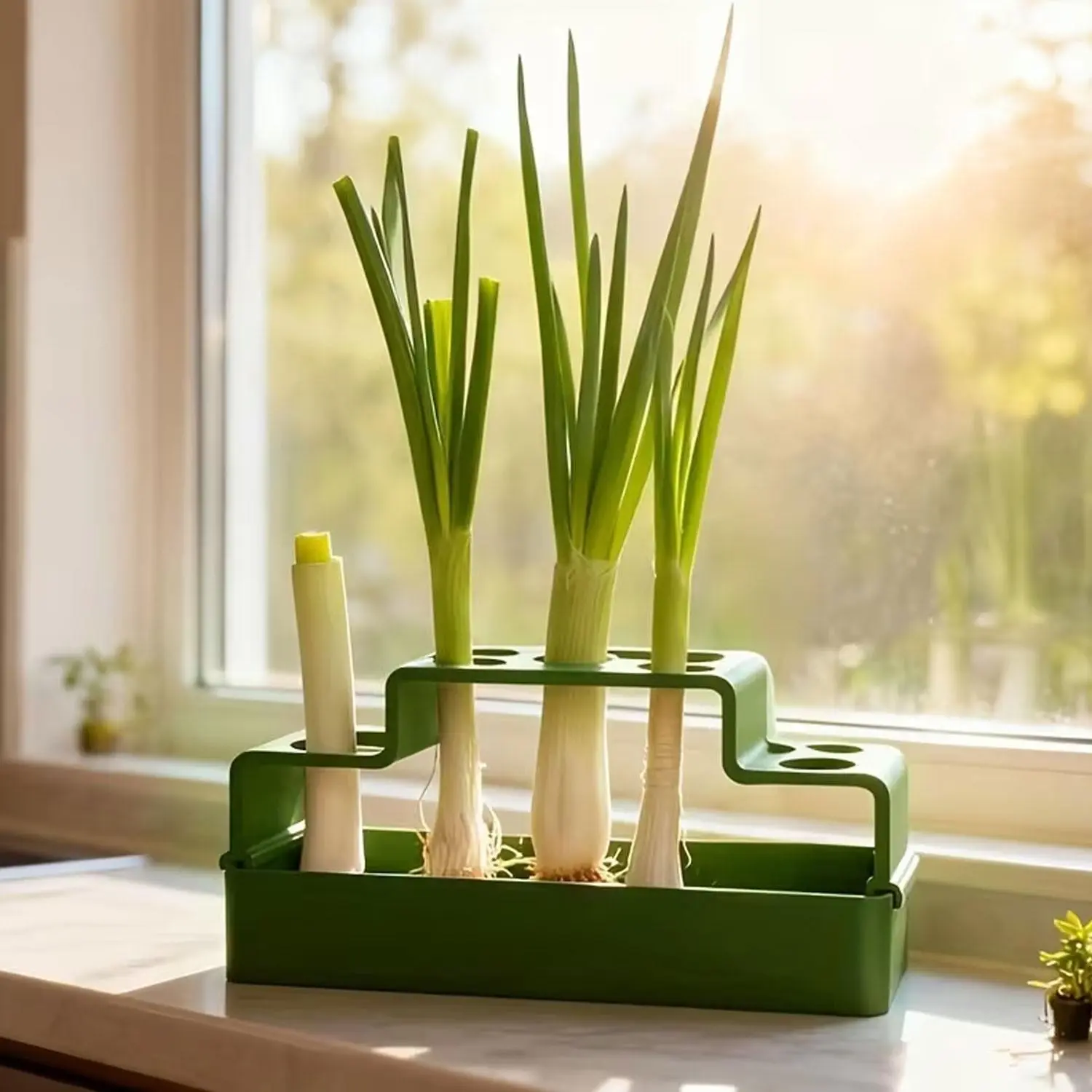 1 set of plant regeneration kit - No skills required, easy to grow plants at home | Compact system suitable for balconies, windowsills and small spaces | Quick regeneration | Portable Garden Planters, Propagation Tray, Pot for Plants