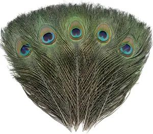 12 pcs 10-12 inch real natural peacock eye feathers for crafts, weddings, and holiday decorations