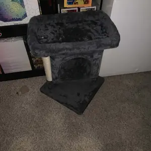 review image 9