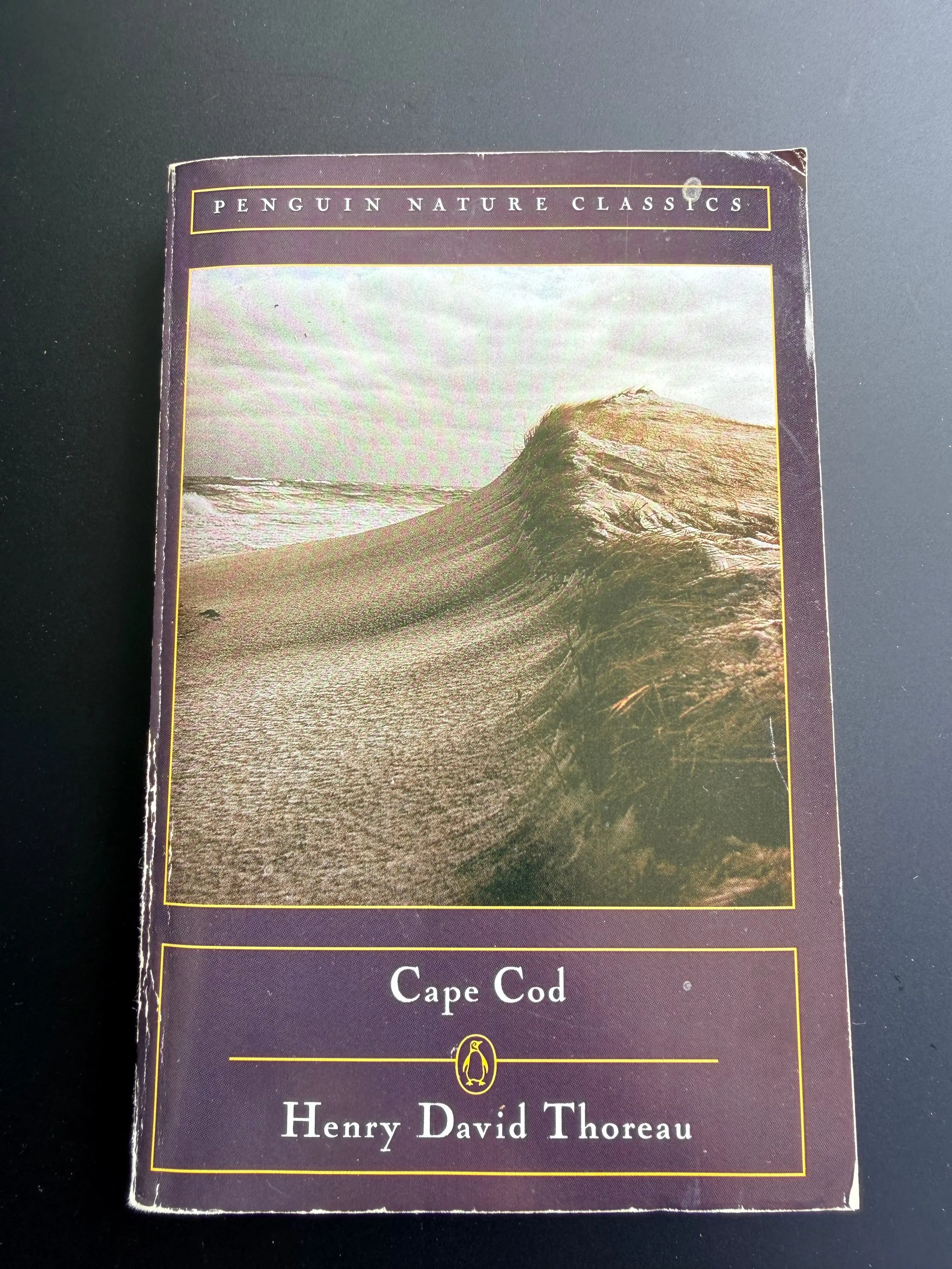 Cape Cod by Henry David Thoreau, 1987