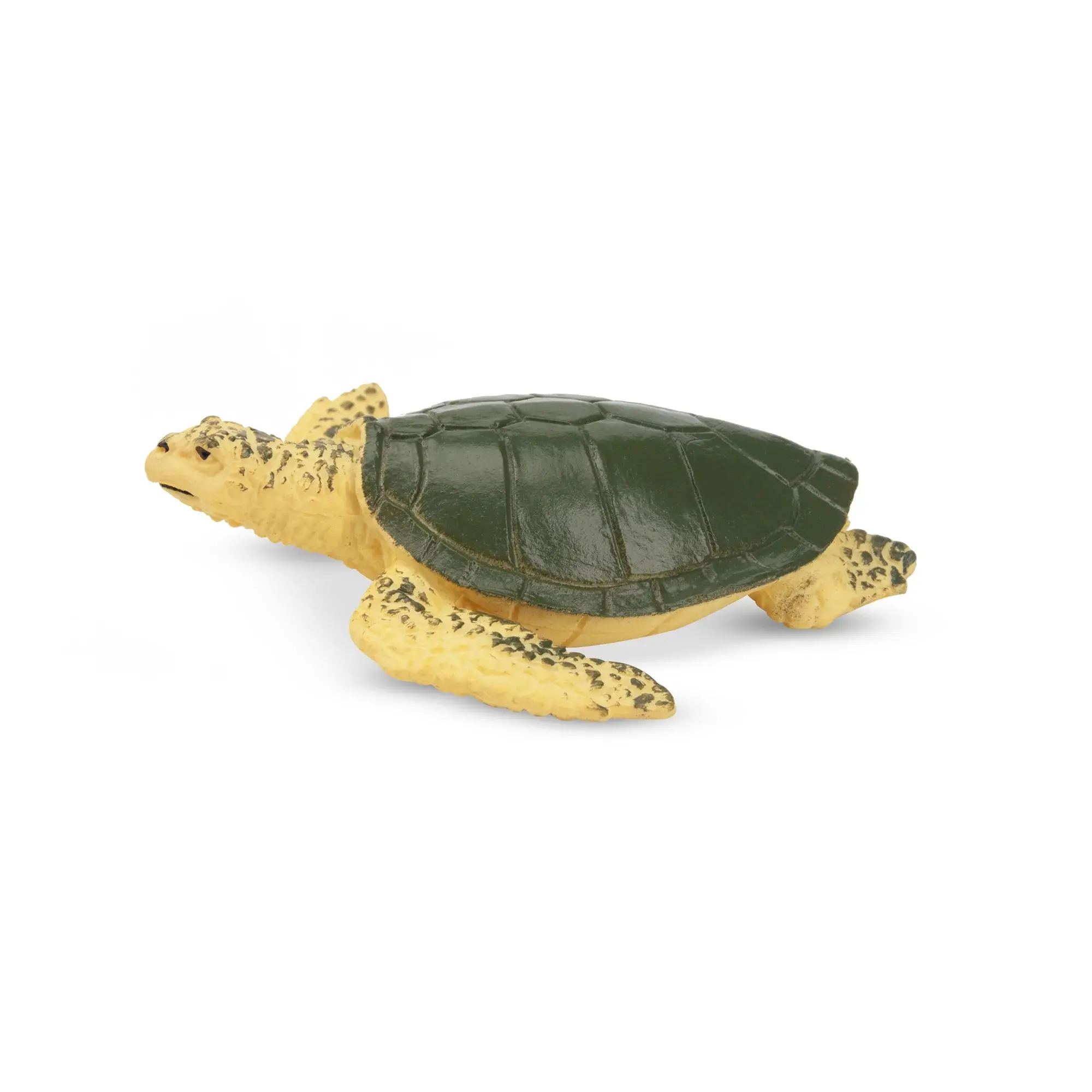 Toymany Hand-Painted Mini Sea Turtle Figurine – Realistic Marine Animal Model, Perfect for Early Education, Montessori Sensory Play, Cake & Party Decorations, Desk & Home Décor, Thoughtful Gifts, and Collectible Figurine