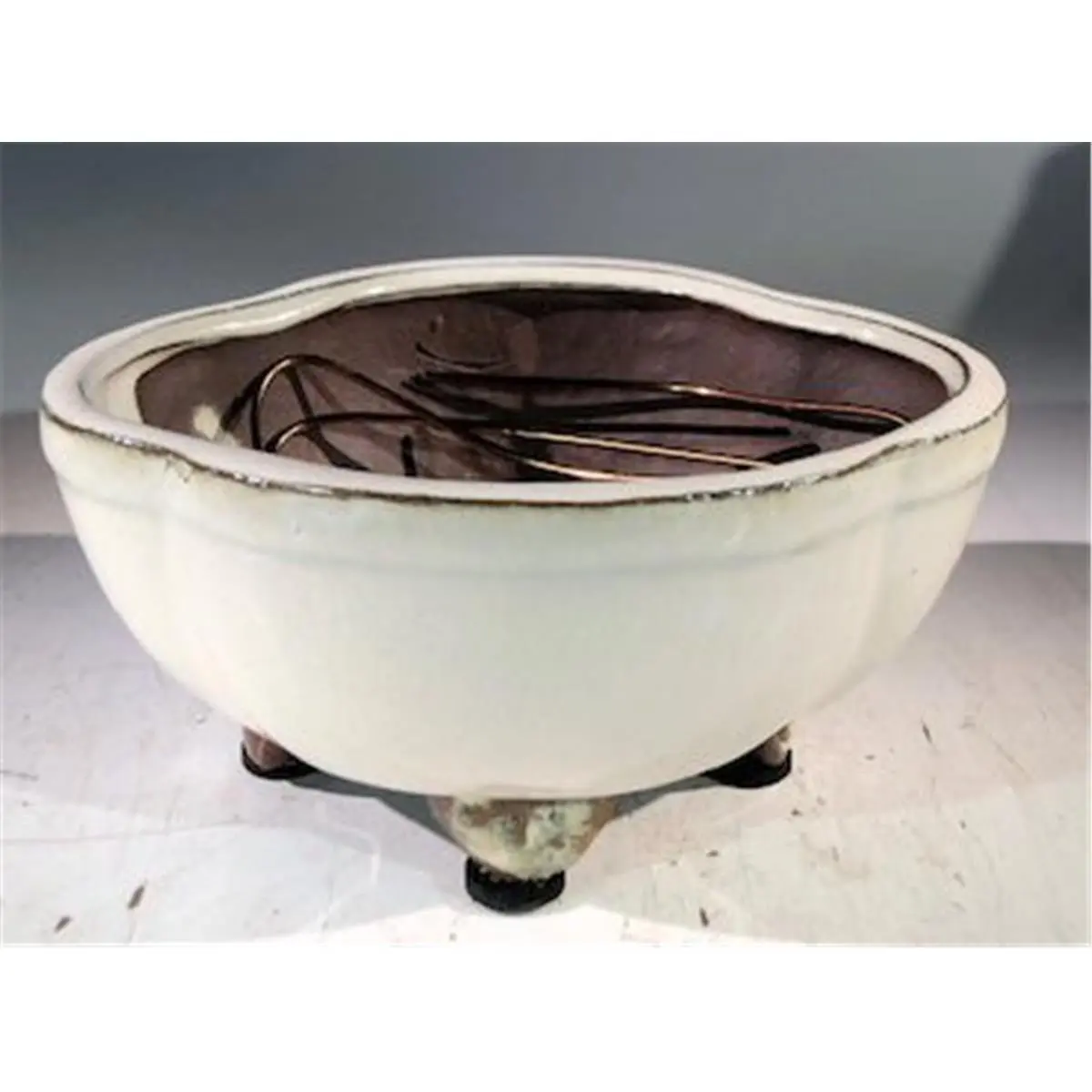 Bonsai Boy  Ceramic Bonsai Pot, Beige - Lotus Shaped