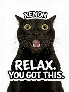 Xenon "Relax You Got This"Funny Cat Stickers