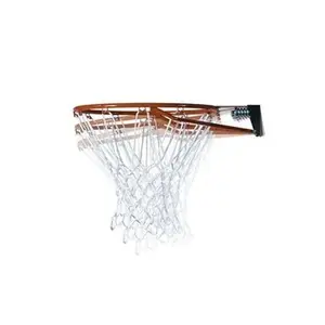 Lifetime Adjustable Portable Basketball Hoop (52-Inch Polycarbonate)