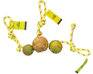 FDT Rubber Dog Ball with Rope