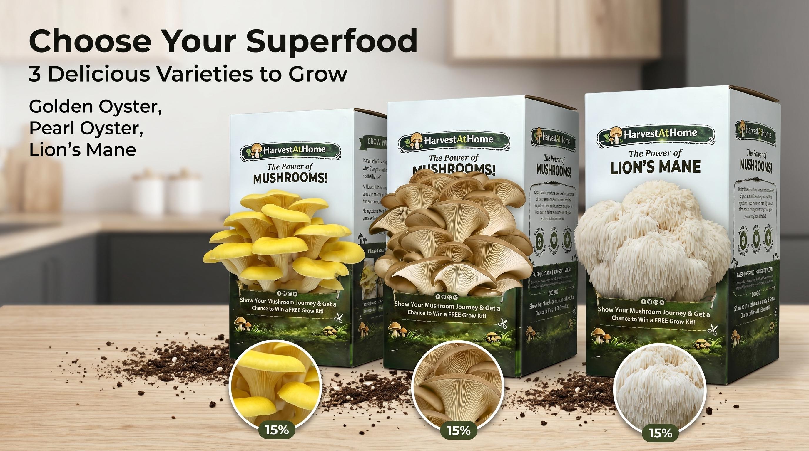 HarvestAtHome Certified USDA Organic Mushroom Kit 3-Pack (3.5lb) - Pure Mycelium Healthy Edible Fungi, 1-7 Days Fast Growth, Interactive Visual Experience, Food for Adults, Made in USA, All Seasons HarvestAtHome Certified USDA Organic Mushroom Kit 3-Pack (3.5lb) - Pure Mycelium Healthy Edible Fungi, 1-7 Days Fast Growth, Interactive Visual Experience, Food for Adults, Made in USA, All Seasons