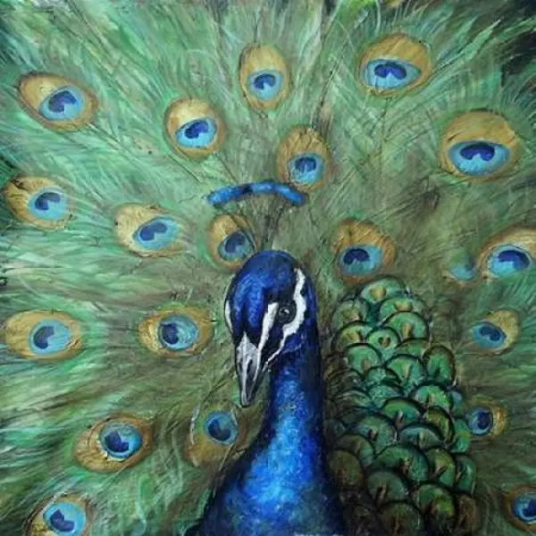 Roaring Brook Art PDXRB10728TSSMALL Painted Peacock Poster Print by Tre Sorelle Studios, 12 x 12 - Small