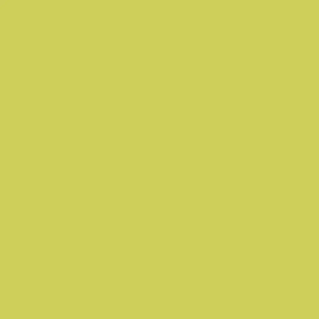 Siser Brick 600 Citrus Polyurethane Heat Transfer Vinyl (12" Width) - Flexible DIY Material for Scrapbooking, Stamping, Crafting & Left Chest Logos Projects