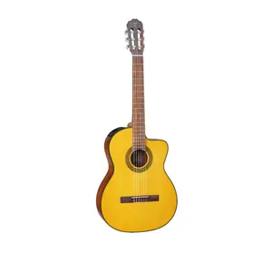 Takamine GC1CE-NAT