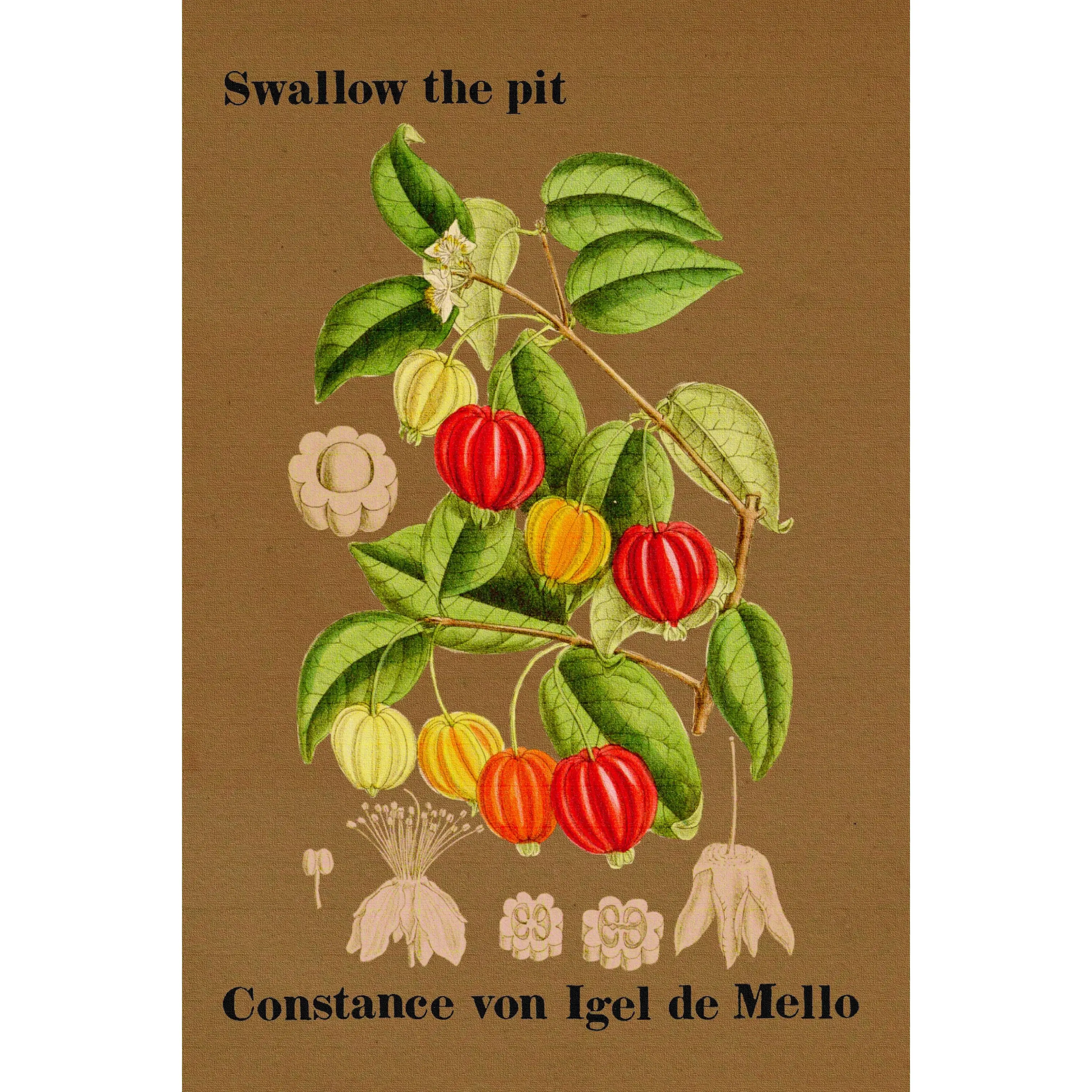 Swallow the pit, by Constance von Igel de Mello