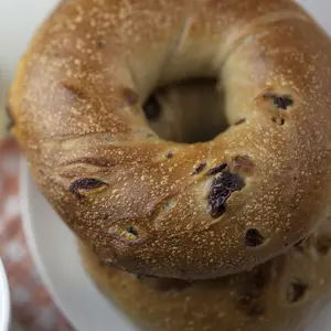 Apple Cinnamon Raisin Bagels fresh from New York City - Kosher, Vegan 2-Day Shipping Included