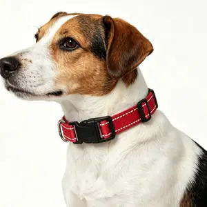 Reflective Durable Dog Collar Leash Set, Stylish Adjustable Harness with Reflective Strips, Outdoor Night Walk, Medium to Large Dogs & Cats