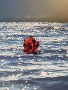 Intangible Cultural Heritage (ICH) Mulberry Silk Ring with Red and Black Floral Patterns, Rotatable and Size-Adjustable