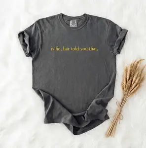 Comfort Colors Is lie, liar told you that. quote T-Shirt, Heated Rivalry Tee