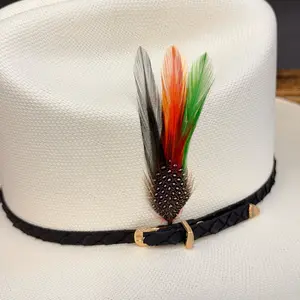 STETSON HAT FEATHER 2 Pack
