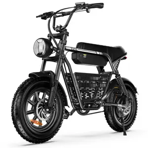 【Cheaper than Amz】1000W Peak Motor Retro Mini Fat Tire Electric Bike for Adults, 32MPH 16 Inch All Terrain E Bike with Bluetooth Speaker, APP Control USB Charging Port, Dual Disc Brake Low Step Commuter Electric Bicycle Supports 330LBS
