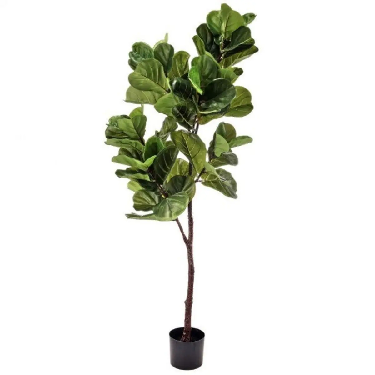 65" Fiddle Leaf Tree