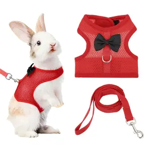 PETAXCELL Rabbit Harness and Leash, Small Pet Cute Vest Harness Leash Soft Adjustable Buckle Breathable Mesh (M, Red) for Bunny Kitten Small Pig Puppies Camping Hiking Training
