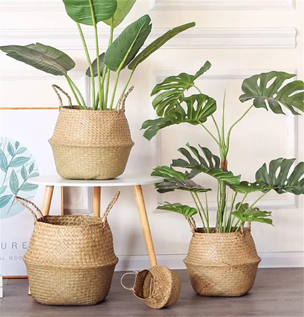 Handcrafted Woven Seagrass Belly Basket with Handles - Eco-Friendly, Decorative, Multipurpose Basketry - Folding Storage Basket for Olive Trees, Home Decor - 7.5in Diameter x 9in Height, Sustainable Indoor Plant Holder Garden Planters