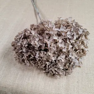 Preserved Hydrangea In Coffee, Preserved Hydrangea, Coffee Dried Hydrangea, Preserved Flowers, Dried Flowers, Real Flowers, Wedding Flowers