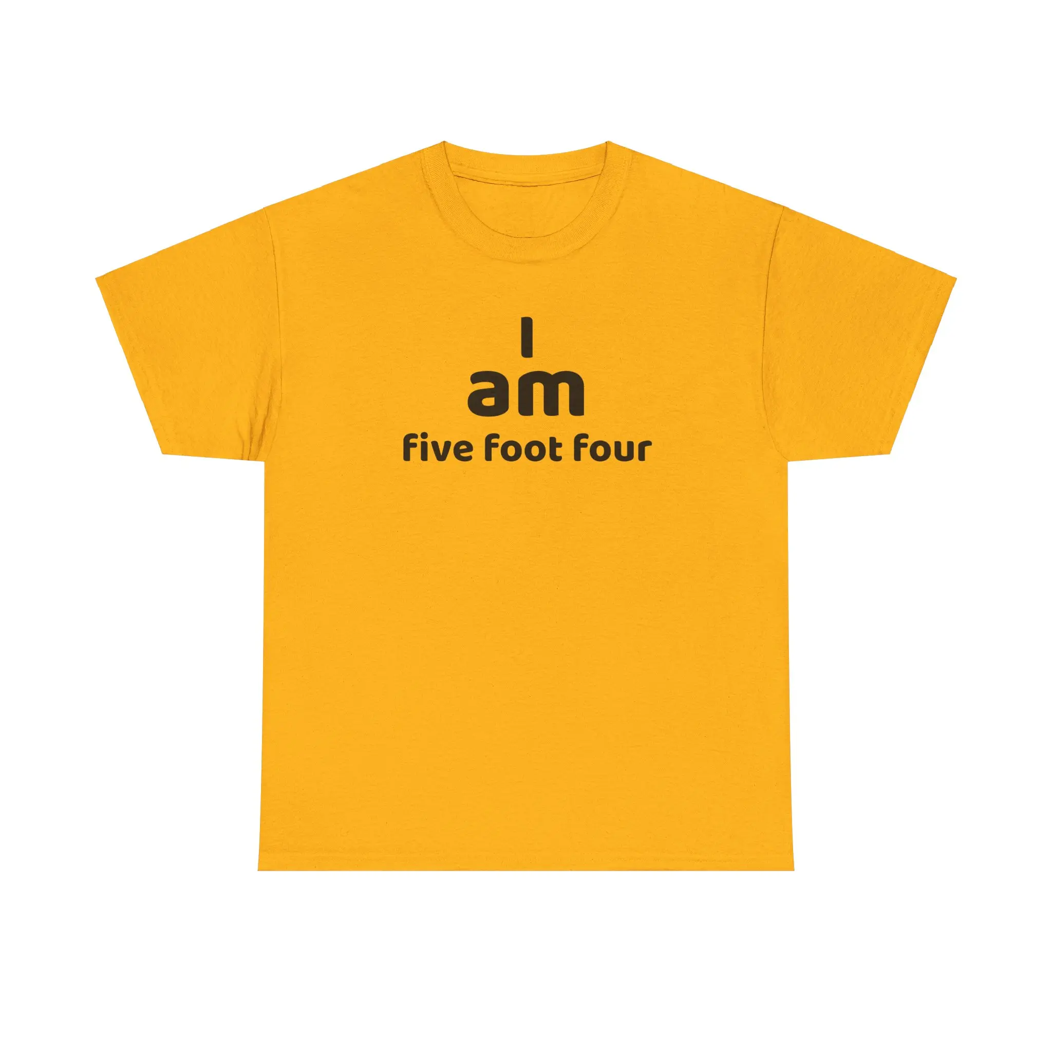 I AM 5'4" t shirt