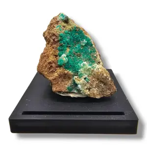 Striking Dioptase with Quartz Matrix from Shaba, Zaire