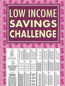 Affordable Low Income Savings Challenge Book - Women's Empowerment Planner, Effortlessly Track Goals Tool, Motivation-Focused Money-Saving Organiser (Office Stationery)