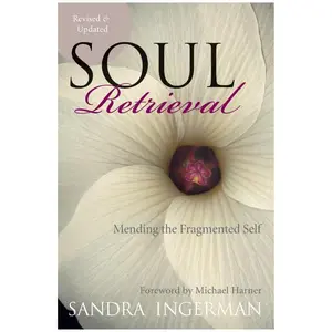 Soul Retrieval: Mending the Fragmented Self by Sandra Ingerman [Paperback Book]