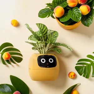 INTELLIPOT: AI-DRIVEN INDOOR FLOWERPOTS WITH TIME, TEMPERATURE, AND LIVELY ANIMATED DISPLAYS