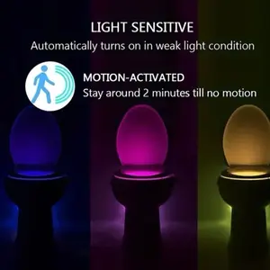 Toilet night light