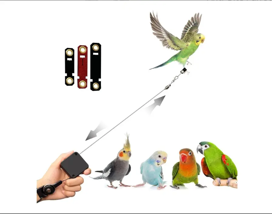 Retractable Parrot Harness Leash Kit - 6.56FT Flexible Rope, 3-Size Foot Rings, Bird Training Aid, Outdoor Walking & Flight Control Accessory for Small Birds, Parrots