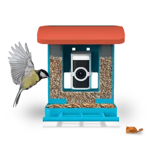 Wyze Bird Feeder with HD Camera — View & Record Live Video of Feathered Visitors with Your Favorite Wyze Camera