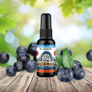 Blueberry Air Freshener Spray