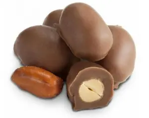 Double Dipped Milk Chocolate Covered Peanuts