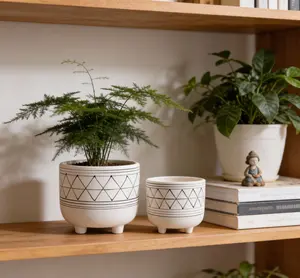 Set of 2 Ceramic Footed Planters