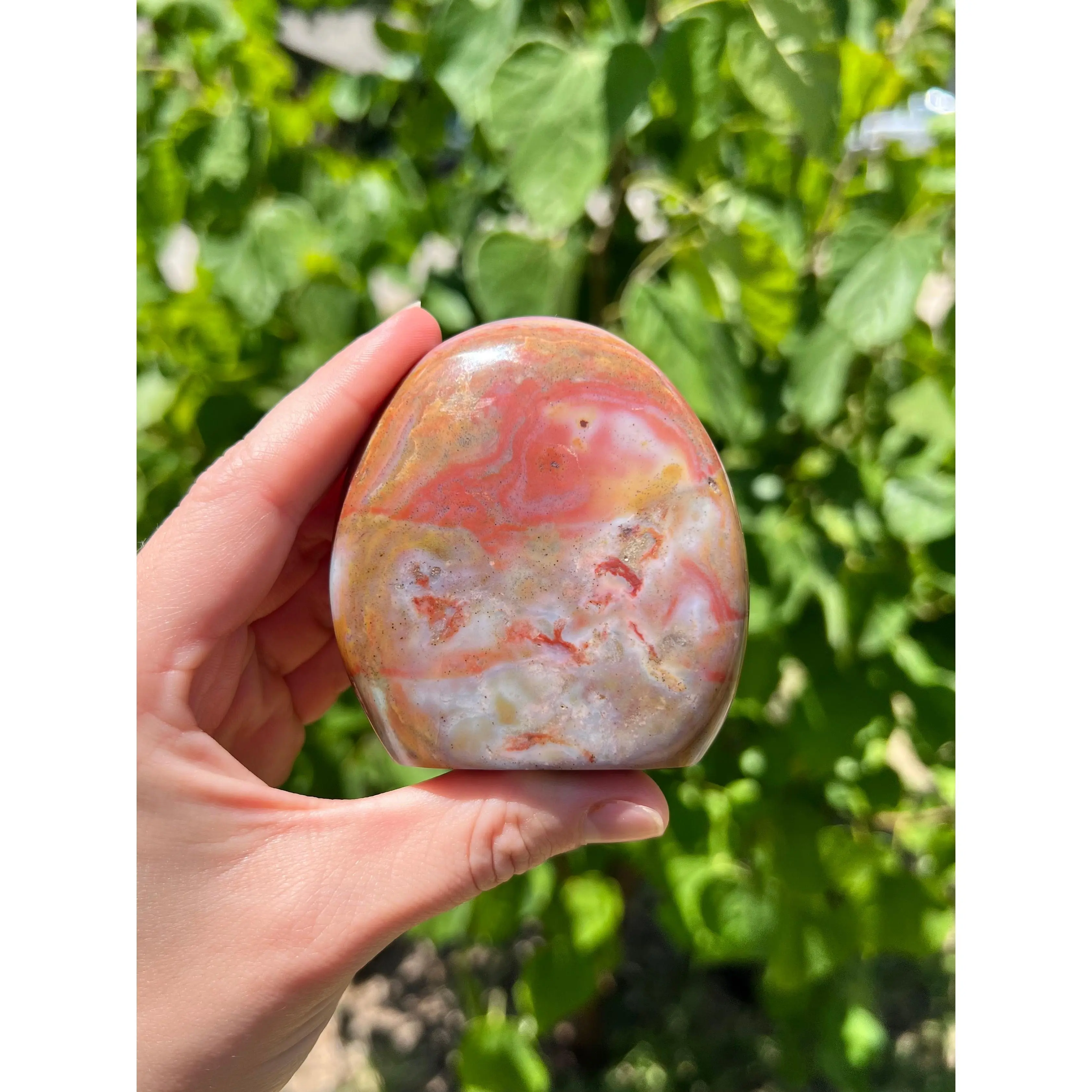Sea Jasper Freeforms