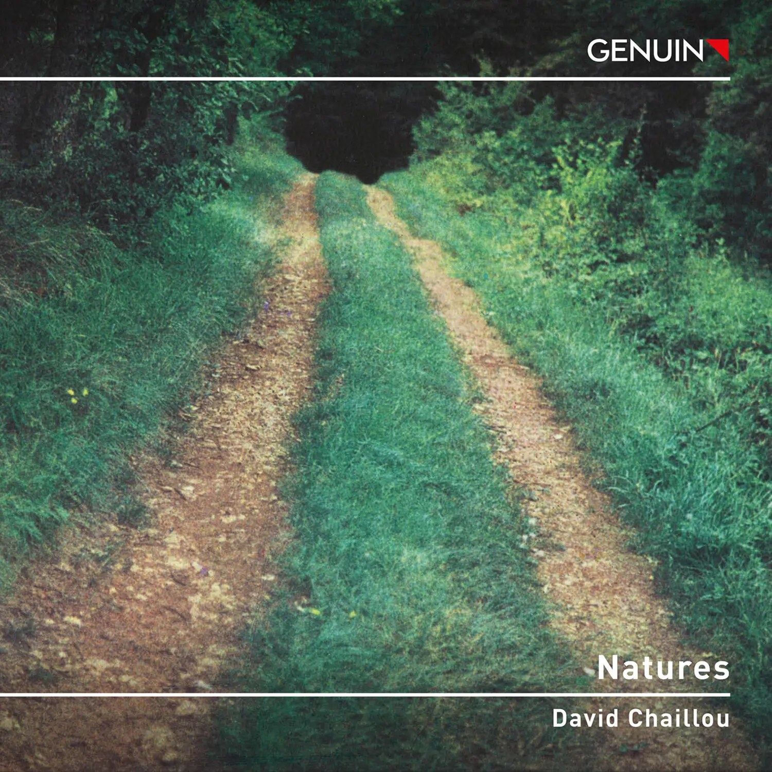 Aron Quartett - Chaillou: Natures  [COMPACT DISC - CD]