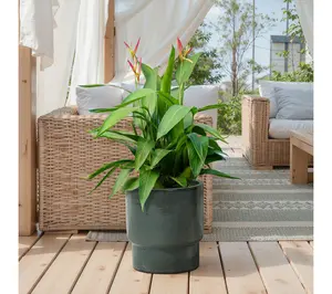 LuxenHome Moss Glaze Textured Ceramic Planter, 12.2" Round