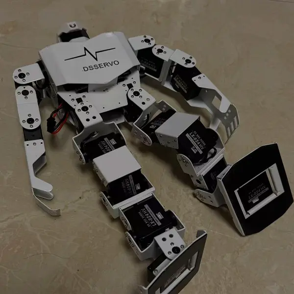 DSSERVO Smart Toy Robot Roys Dance Robot