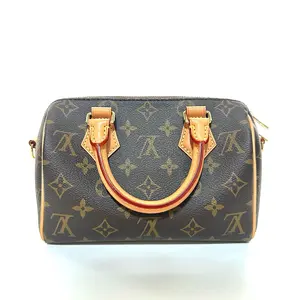 Pre-owned Louis Vuitton LV Speedy 20 Damier Ebene, microchipped, ref N40489