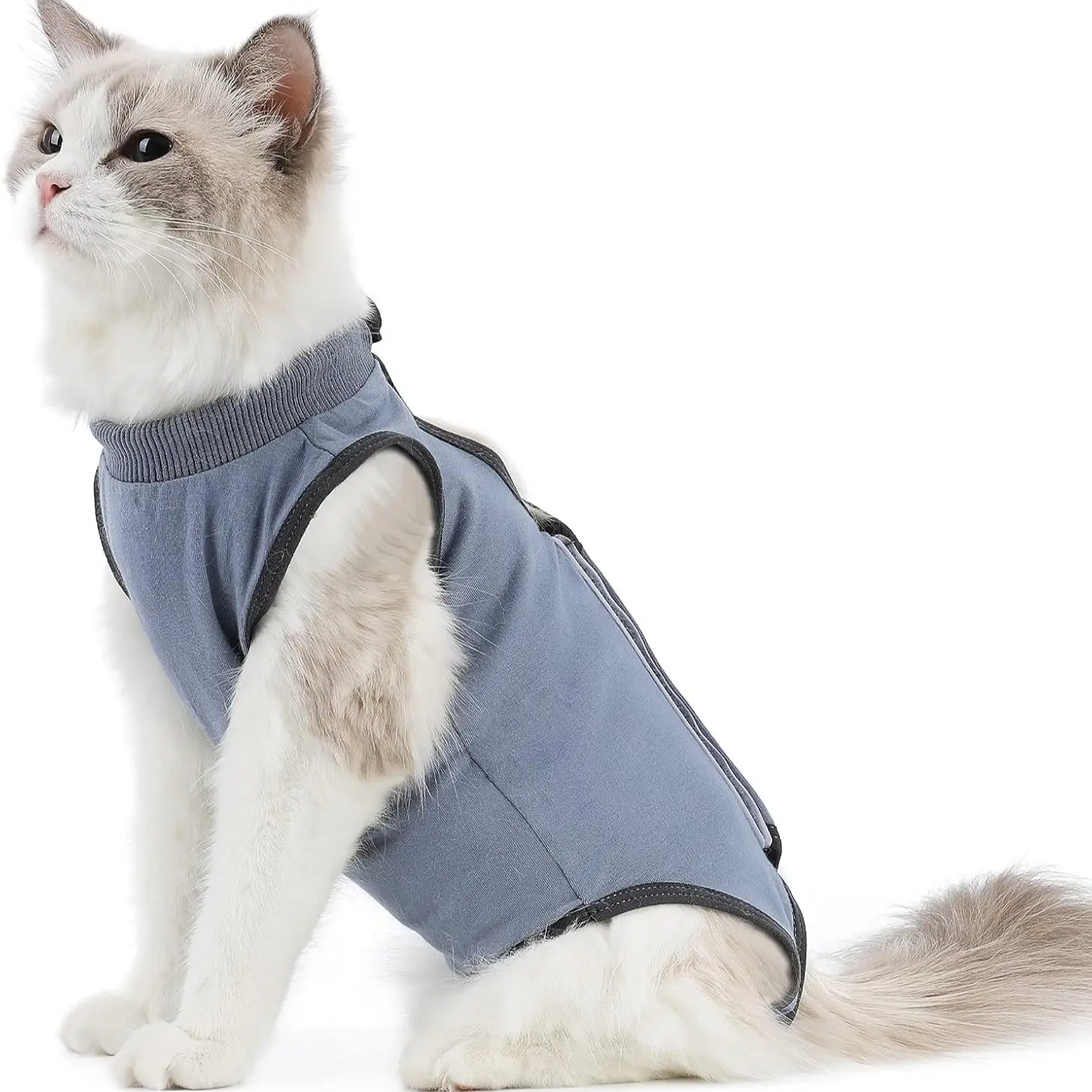 Breathable Post-Surgery Cat Onesie, Recovery Suit for Kittens and Nursing Cats, Abdominal Wound Care, Model Xinghao, Clothes