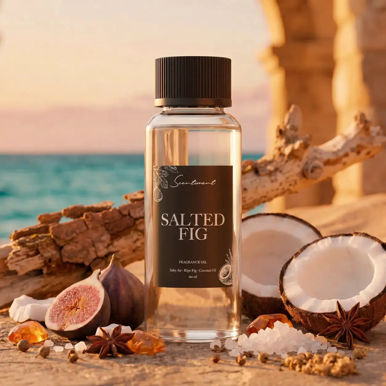 Salted Fig Fragrance Oil | Coastal Fig, Coconut & Amber Scent | Premium Diffuser Oil for Home Fragrance