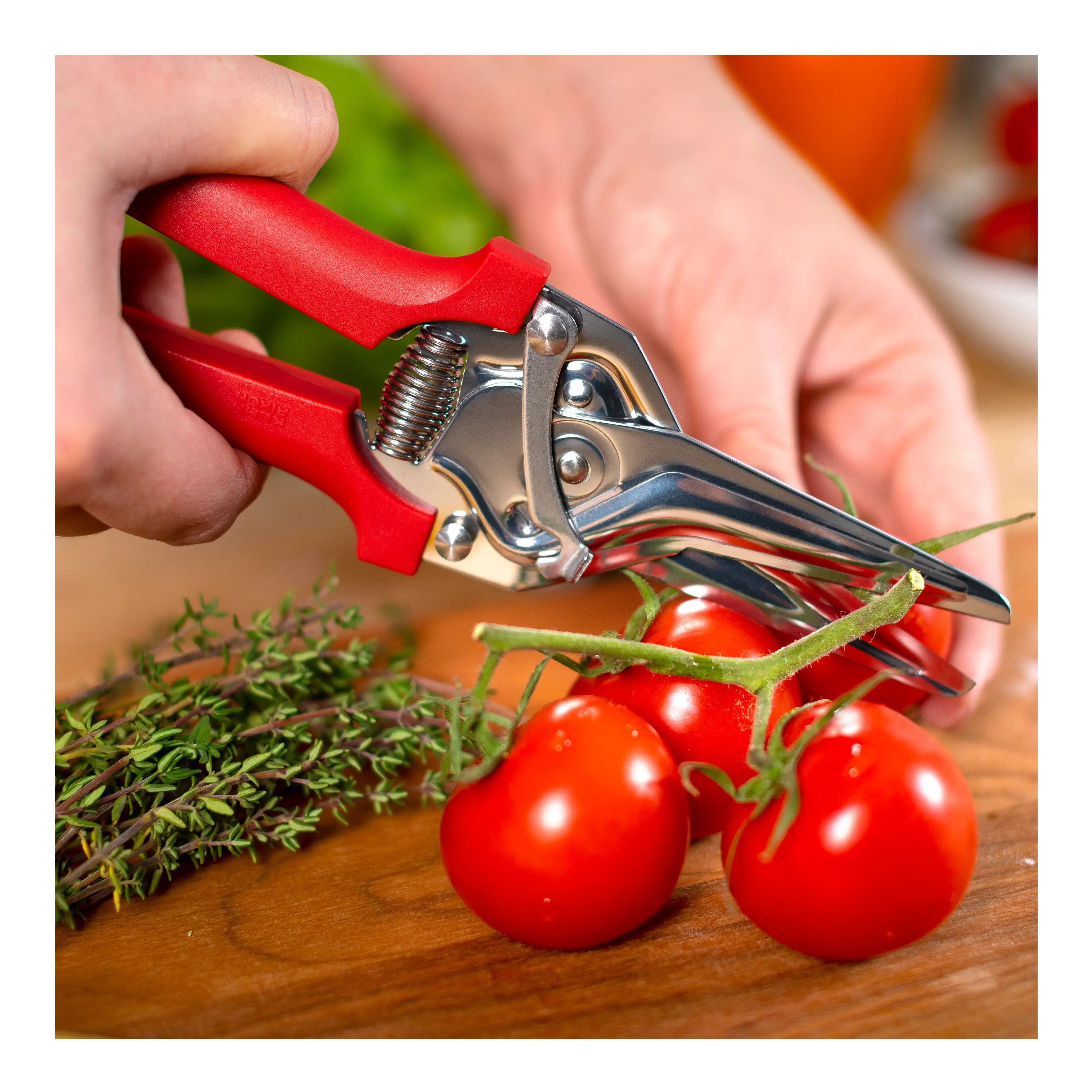 KUHN RIKON Classic Snips 8” Red KUHN RIKON Classic Snips 8” Red