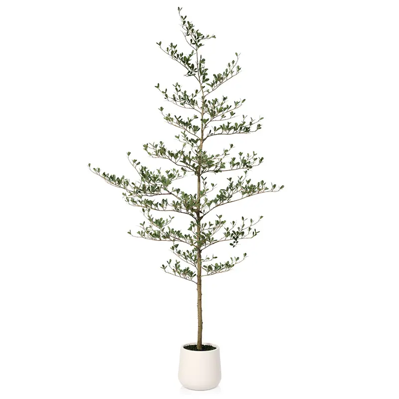 VeriNatural 5/6/7FT Artificial Black Olive Silk Tree UV Resistant with White Planter for Indoor & Outdoor(VN124)【SummerVibes】